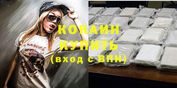 каннабис Новозыбков