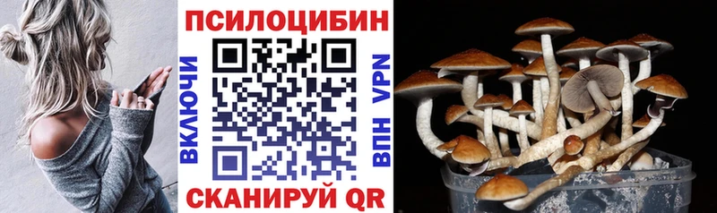 Галлюциногенные грибы мицелий  Купить где  Лесосибирск 